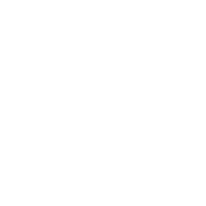 2025-instagram-white.png